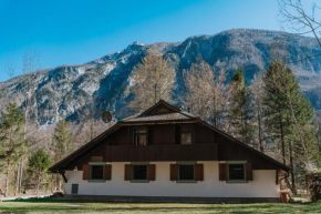 TUBA Apartments Bohinjska Bistrica